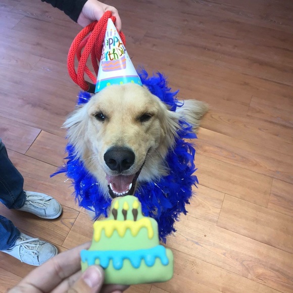 Meet your Posher, Patricia - Picture 3 of 3